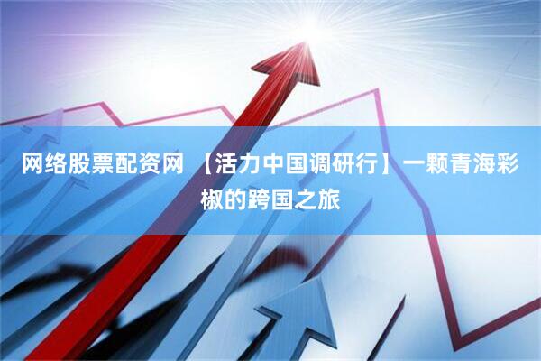 网络股票配资网 【活力中国调研行】一颗青海彩椒的跨国之旅