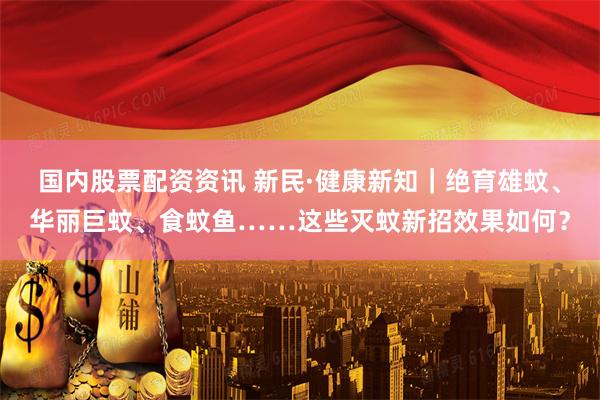 国内股票配资资讯 新民·健康新知｜绝育雄蚊、华丽巨蚊、食蚊鱼……这些灭蚊新招效果如何？