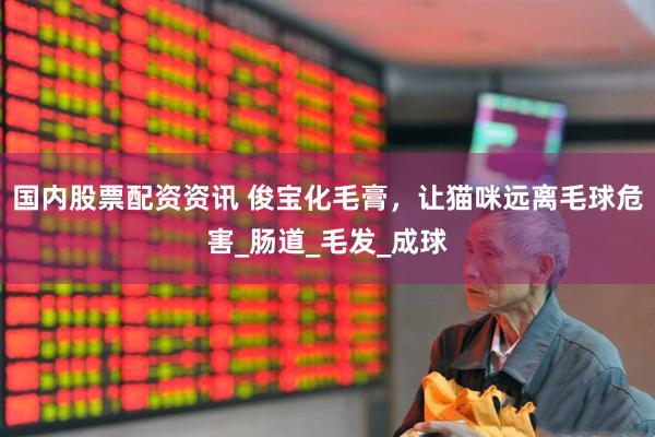 国内股票配资资讯 俊宝化毛膏，让猫咪远离毛球危害_肠道_毛发_成球